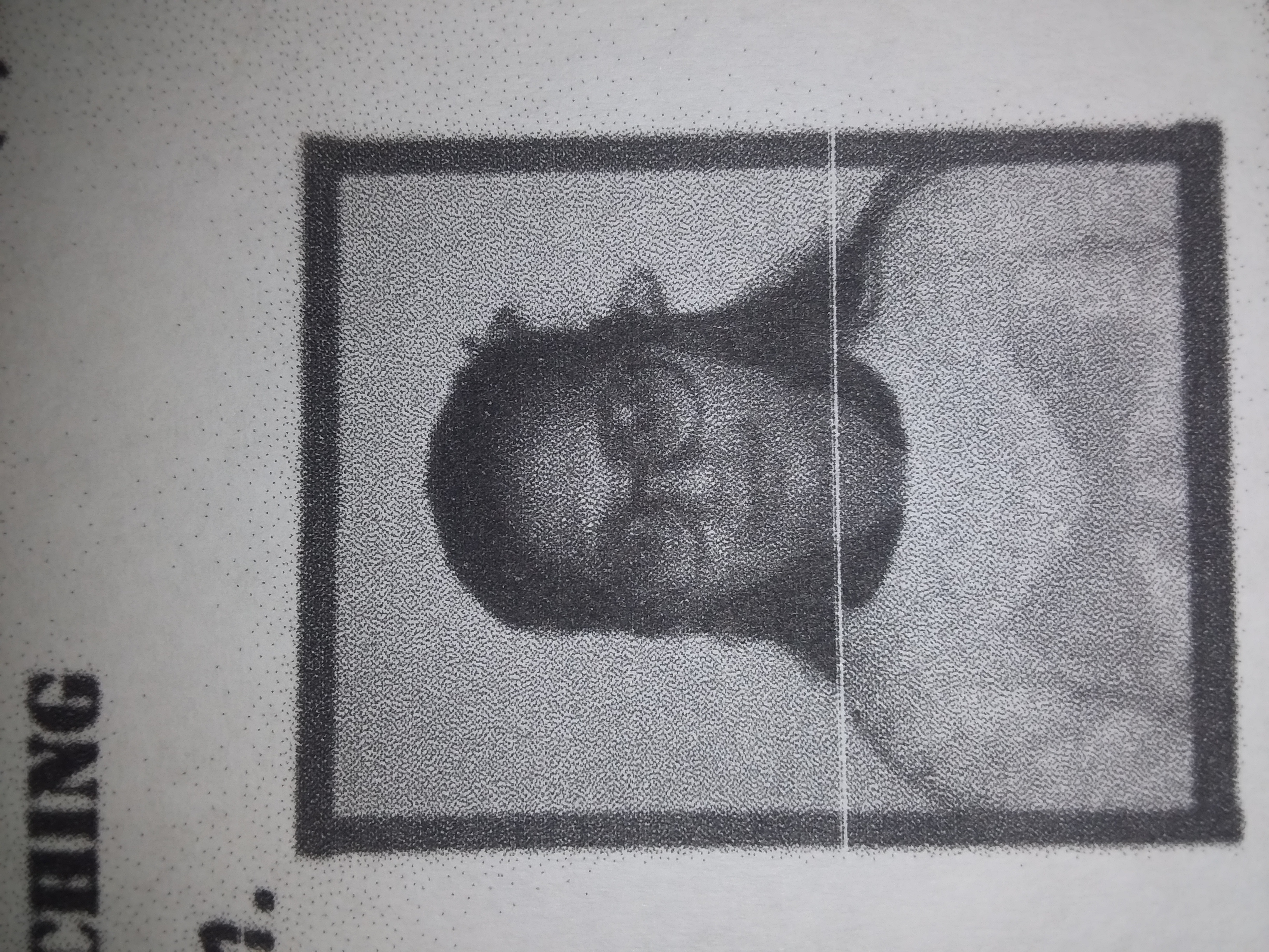 Diksha saha